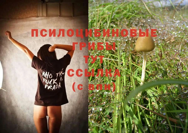 apvp Алексеевка