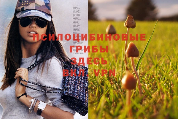 apvp Алексеевка