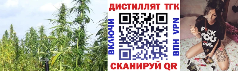 ТГК концентрат  Мураши 